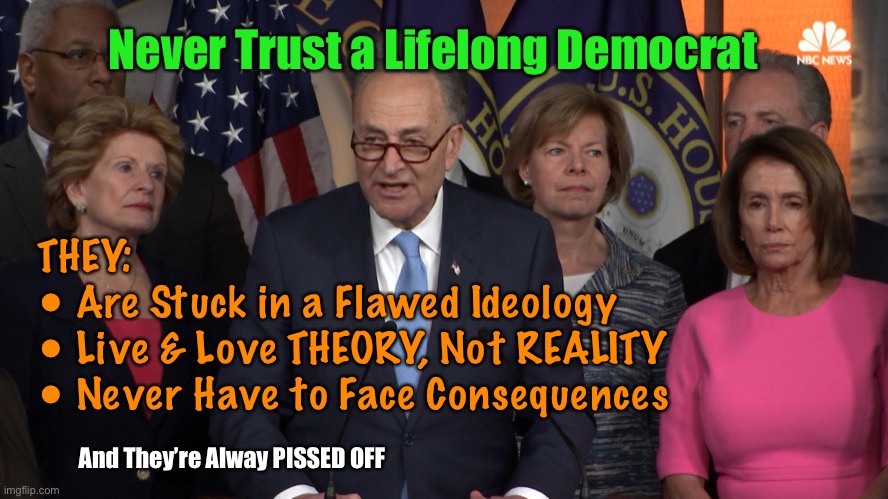 Democrat congressmen | Never Trust a Lifelong Democrat; THEY:
• Are Stuck in a Flawed Ideology 
• Live & Love THEORY, Not REALITY
• Never Have to Face Consequences; And They’re Alway PISSED OFF | image tagged in democrat congressmen | made w/ Imgflip meme maker