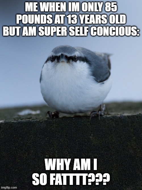 captioning my own meme bc why the hekk not | ME WHEN IM ONLY 85 POUNDS AT 13 YEARS OLD BUT AM SUPER SELF CONCIOUS:; WHY AM I SO FATTTT??? | made w/ Imgflip meme maker