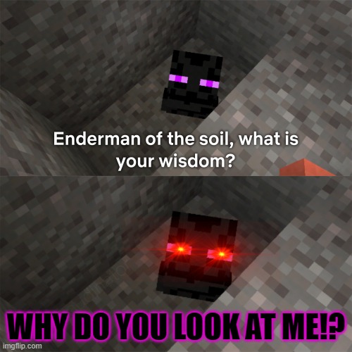 Angry EnderMan | WHY DO YOU LOOK AT ME!? | image tagged in enderman of the soil | made w/ Imgflip meme maker