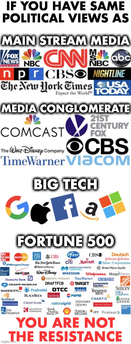 You are NOT the resistance | IF YOU HAVE SAME POLITICAL VIEWS AS; MAIN STREAM MEDIA; MEDIA CONGLOMERATE; BIG TECH; FORTUNE 500; YOU ARE NOT THE RESISTANCE | image tagged in resist,liberal logic | made w/ Imgflip meme maker
