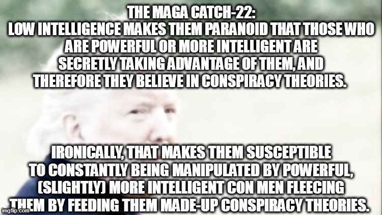 Trump manipulating MAGAts with lie after lie after lie. | THE MAGA CATCH-22:
LOW INTELLIGENCE MAKES THEM PARANOID THAT THOSE WHO ARE POWERFUL OR MORE INTELLIGENT ARE SECRETLY TAKING ADVANTAGE OF THEM, AND THEREFORE THEY BELIEVE IN CONSPIRACY THEORIES. IRONICALLY, THAT MAKES THEM SUSCEPTIBLE TO CONSTANTLY BEING MANIPULATED BY POWERFUL, (SLIGHTLY) MORE INTELLIGENT CON MEN FLEECING THEM BY FEEDING THEM MADE-UP CONSPIRACY THEORIES. | image tagged in con-man trump,manipulated magats | made w/ Imgflip meme maker
