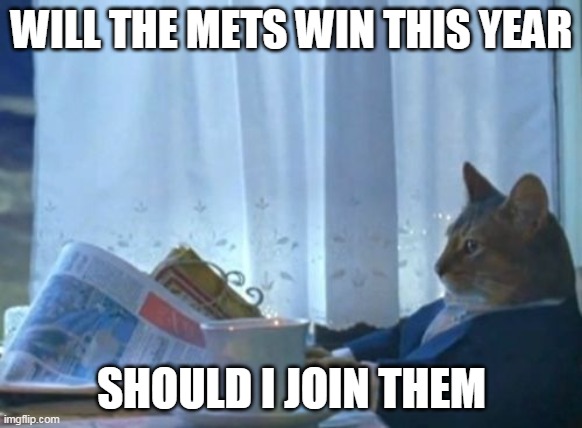 A cat trying to see if it wants to be a team mascot | WILL THE METS WIN THIS YEAR; SHOULD I JOIN THEM | image tagged in memes,i should buy a boat cat,mascot,mets,baseball | made w/ Imgflip meme maker