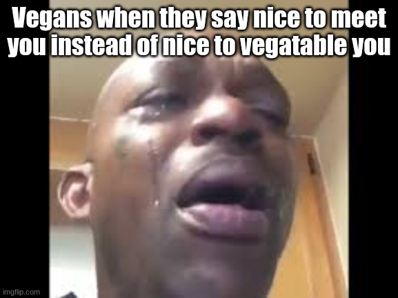  Vegans when they say nice to meet you instead of nice to vegetable you | image tagged in sad man | made w/ Imgflip meme maker