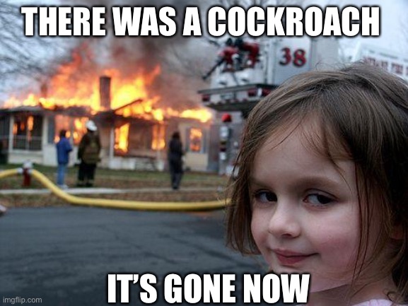 Disaster Girl Meme | THERE WAS A COCKROACH; IT’S GONE NOW | image tagged in memes,disaster girl,cockroach | made w/ Imgflip meme maker