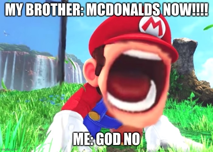 Mario screaming | MY BROTHER: MCDONALDS NOW!!!! ME: GOD NO | image tagged in mario screaming | made w/ Imgflip meme maker