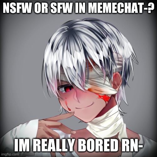 ? | NSFW OR SFW IN MEMECHAT-? IM REALLY BORED RN- | made w/ Imgflip meme maker