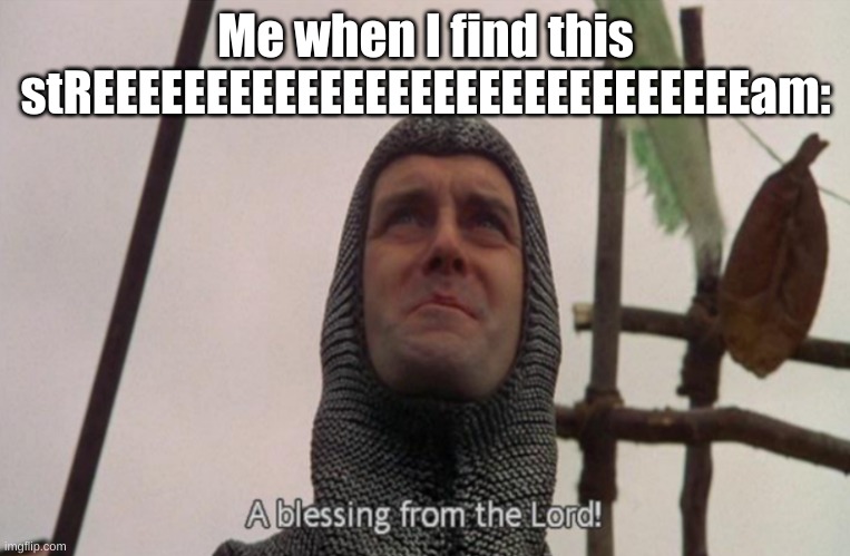 Please, is this true? Is the community here not toxic? IS THIS STREAM MEME PERFECTION!? | Me when I find this stREEEEEEEEEEEEEEEEEEEEEEEEEEEEEam: | image tagged in a blessing from the lord | made w/ Imgflip meme maker