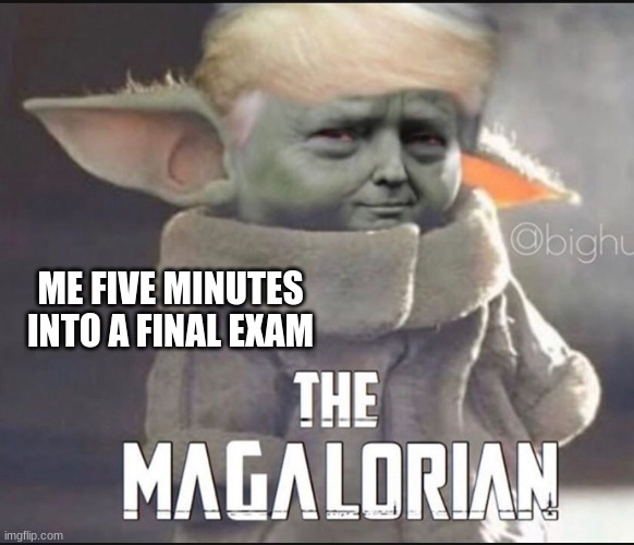 maga | ME FIVE MINUTES INTO A FINAL EXAM | image tagged in trumpalorian | made w/ Imgflip meme maker