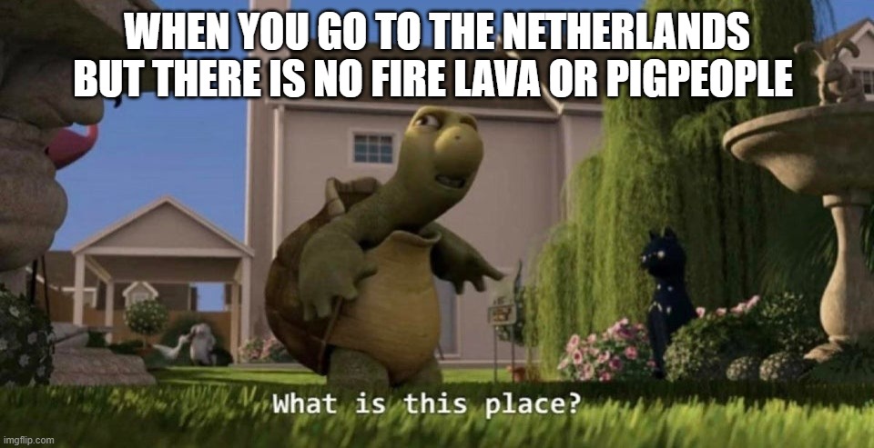 Nether = netherlands? | WHEN YOU GO TO THE NETHERLANDS BUT THERE IS NO FIRE LAVA OR PIGPEOPLE | image tagged in what is this place | made w/ Imgflip meme maker