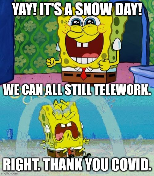 Snow Day Happy Sad | YAY! IT'S A SNOW DAY! WE CAN ALL STILL TELEWORK. RIGHT. THANK YOU COVID. | image tagged in haiku,snow day,covid,spongebob,meme | made w/ Imgflip meme maker