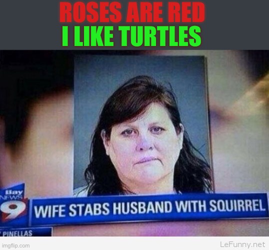 Why a squirrel!? | ROSES ARE RED; I LIKE TURTLES | image tagged in funny,memes | made w/ Imgflip meme maker
