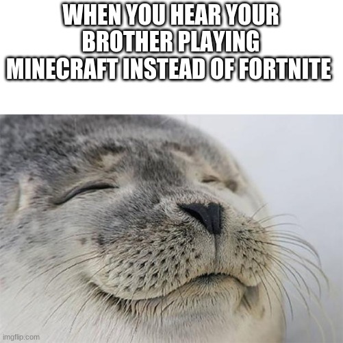 Satisfied Seal Meme | WHEN YOU HEAR YOUR BROTHER PLAYING MINECRAFT INSTEAD OF FORTNITE | image tagged in memes,satisfied seal | made w/ Imgflip meme maker