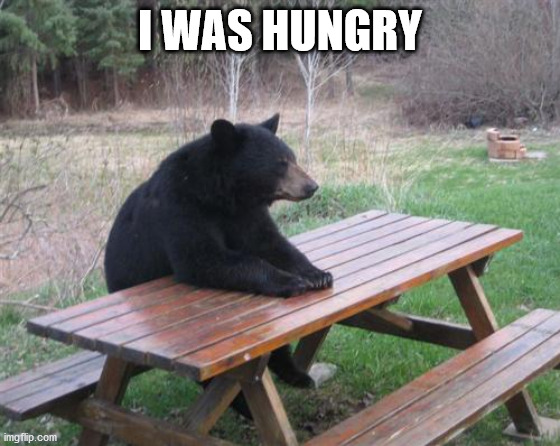 Bad Luck Bear Meme | I WAS HUNGRY | image tagged in memes,bad luck bear | made w/ Imgflip meme maker