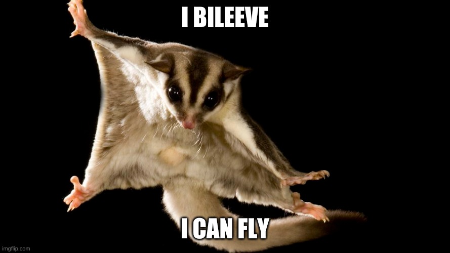 I bileeve I can fly | I BILEEVE; I CAN FLY | image tagged in funny meme | made w/ Imgflip meme maker