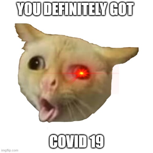 covid cat | YOU DEFINITELY GOT; COVID 19 | image tagged in covid19,covid,covidiots,covid cat,coughing cat | made w/ Imgflip meme maker