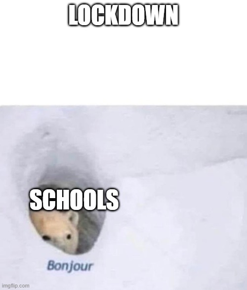 BRuH | LOCKDOWN; SCHOOLS | image tagged in bonjour,henlo,i,am,new,here | made w/ Imgflip meme maker