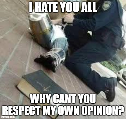 I HATE YOU ALL; WHY CANT YOU RESPECT MY OWN OPINION? | made w/ Imgflip meme maker