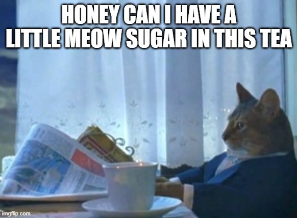 I Should Buy A Boat Cat Meme | HONEY CAN I HAVE A LITTLE MEOW SUGAR IN THIS TEA | image tagged in memes,i should buy a boat cat | made w/ Imgflip meme maker