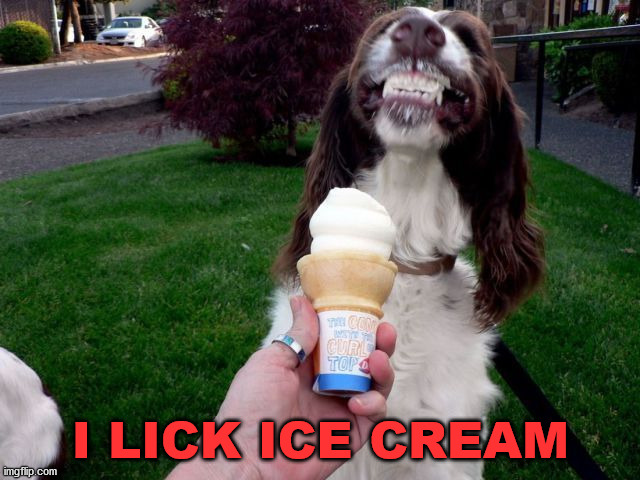 I LICK ICE CREAM | image tagged in dogs | made w/ Imgflip meme maker