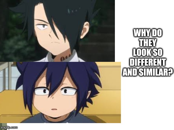 WHY DO THEY LOOK SO DIFFERENT AND SIMILAR? | made w/ Imgflip meme maker