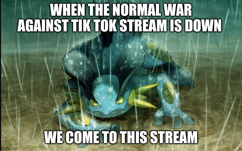 And by down I mean when the stream is mainly weird images | WHEN THE NORMAL WAR AGAINST TIK TOK STREAM IS DOWN; WE COME TO THIS STREAM | image tagged in the best swampert 999 | made w/ Imgflip meme maker
