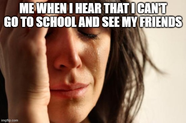 First World Problems | ME WHEN I HEAR THAT I CAN'T GO TO SCHOOL AND SEE MY FRIENDS | image tagged in memes,first world problems | made w/ Imgflip meme maker