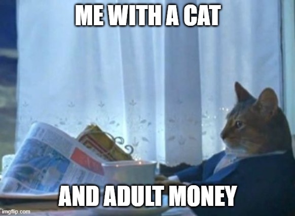 I Should Buy A Boat Cat | ME WITH A CAT; AND ADULT MONEY | image tagged in memes,i should buy a boat cat | made w/ Imgflip meme maker
