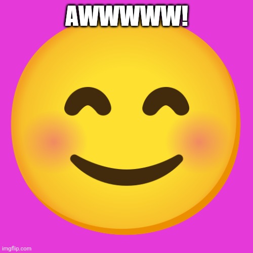 Cute Smiley Face Emoji | AWWWWW! | image tagged in cute smiley face emoji | made w/ Imgflip meme maker