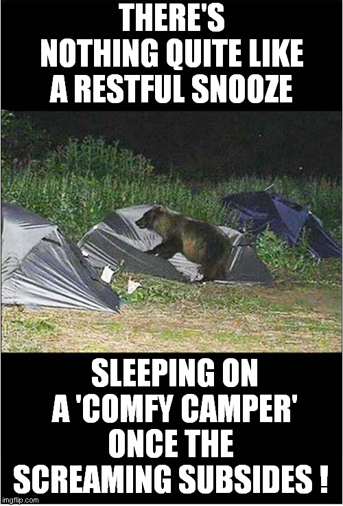 Bear Squashing Campers ! | THERE'S NOTHING QUITE LIKE A RESTFUL SNOOZE; SLEEPING ON A 'COMFY CAMPER'; ONCE THE SCREAMING SUBSIDES ! | image tagged in fun,bears,camping | made w/ Imgflip meme maker