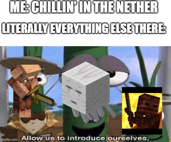 ME: CHILLIN' IN THE NETHER; LITERALLY EVERYTHING ELSE THERE: | image tagged in memes,veggietales 'allow us to introduce ourselfs',minecraft | made w/ Imgflip meme maker
