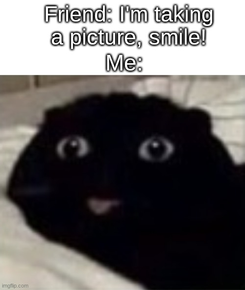 n o- | Friend: I'm taking a picture, smile! Me: | image tagged in haha,no | made w/ Imgflip meme maker