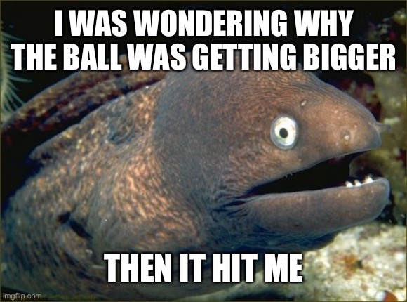Bad Joke Eel Meme | I WAS WONDERING WHY THE BALL WAS GETTING BIGGER; THEN IT HIT ME | image tagged in memes,bad joke eel | made w/ Imgflip meme maker