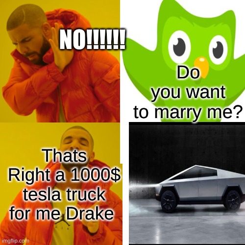 THE BLAH AND THE GOOD | NO!!!!!! Do you want to marry me? Thats Right a 1000$ tesla truck for me Drake | image tagged in drake hotline bling | made w/ Imgflip meme maker
