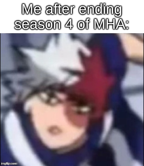 It all ended so quickly- ;-; | Me after ending season 4 of MHA: | image tagged in wtf shoto | made w/ Imgflip meme maker