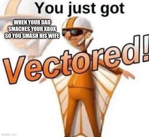 You just got vectored | WHEN YOUR DAD SMACHES YOUR XBOX SO YOU SMASH HIS WIFE | image tagged in you just got vectored | made w/ Imgflip meme maker