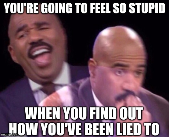 Steve Harvey Laughing Serious | YOU'RE GOING TO FEEL SO STUPID WHEN YOU FIND OUT HOW YOU'VE BEEN LIED TO | image tagged in steve harvey laughing serious | made w/ Imgflip meme maker