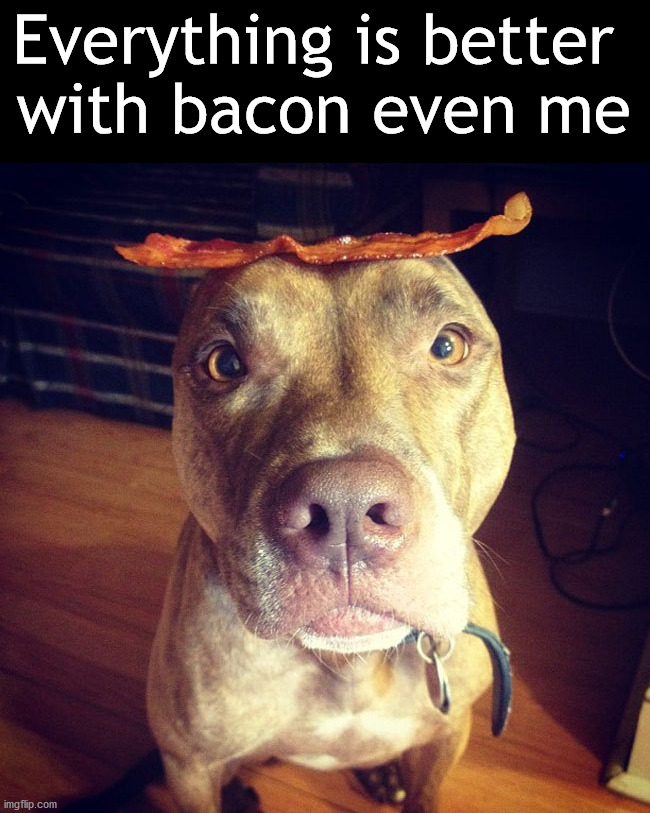 Everything is better 
with bacon even me | image tagged in eye roll | made w/ Imgflip meme maker