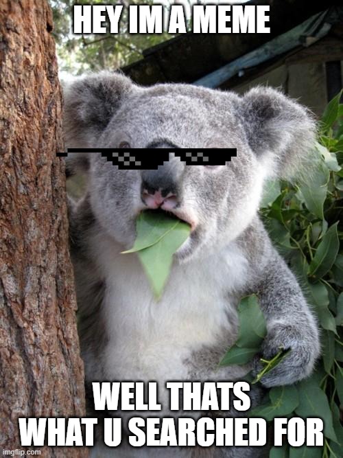 Hey Im A Meme! The Meme | HEY IM A MEME; WELL THATS WHAT U SEARCHED FOR | image tagged in memes,hey,im a meme,koala,glasses,hi | made w/ Imgflip meme maker