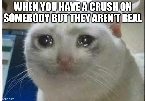Most fictional people are amazing | WHEN YOU HAVE A CRUSH ON SOMEBODY BUT THEY AREN'T REAL | image tagged in crying cat | made w/ Imgflip meme maker