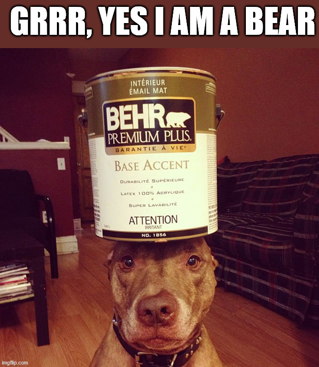 GRRR, YES I AM A BEAR | image tagged in eye roll | made w/ Imgflip meme maker