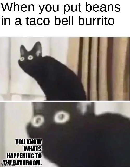 Oh No Black Cat | When you put beans in a taco bell burrito; YOU KNOW WHATS HAPPENING TO THE BATHROOM. | image tagged in oh no black cat | made w/ Imgflip meme maker