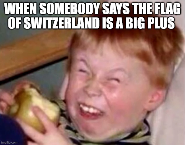 Switzerland flag is a big plus |  WHEN SOMEBODY SAYS THE FLAG OF SWITZERLAND IS A BIG PLUS | image tagged in sarcastic laughing kid,switzerland,swiss | made w/ Imgflip meme maker