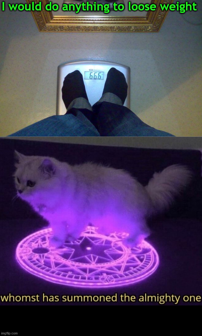 Maybe the cat will eat your extra food? | I would do anything to loose weight | image tagged in whomst has summoned the almighty one,666,demon,weight loss | made w/ Imgflip meme maker