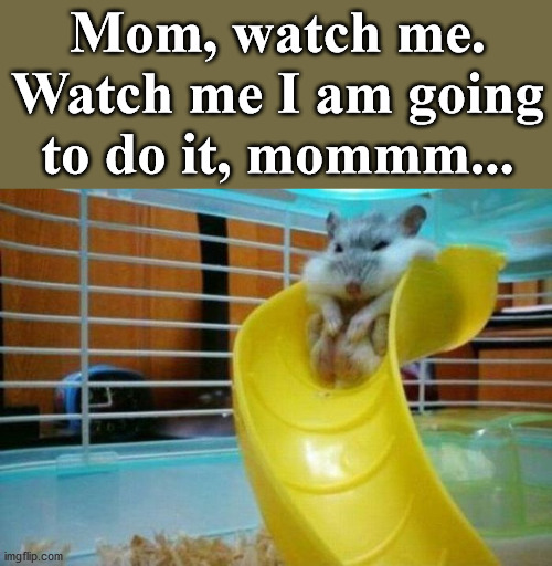 pog | Mom, watch me. Watch me I am going to do it, mommm... | image tagged in slide,mom | made w/ Imgflip meme maker