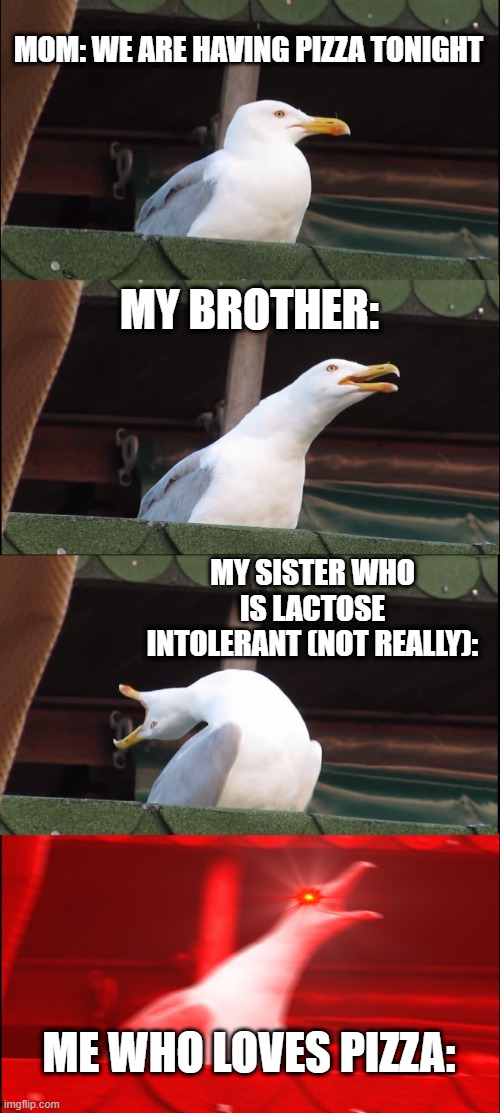 Inhaling Seagull | MOM: WE ARE HAVING PIZZA TONIGHT; MY BROTHER:; MY SISTER WHO IS LACTOSE INTOLERANT (NOT REALLY):; ME WHO LOVES PIZZA: | image tagged in memes,inhaling seagull,pizza | made w/ Imgflip meme maker
