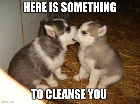 Cute Puppies Meme | HERE IS SOMETHING TO CLEANSE YOU | image tagged in memes,cute puppies | made w/ Imgflip meme maker