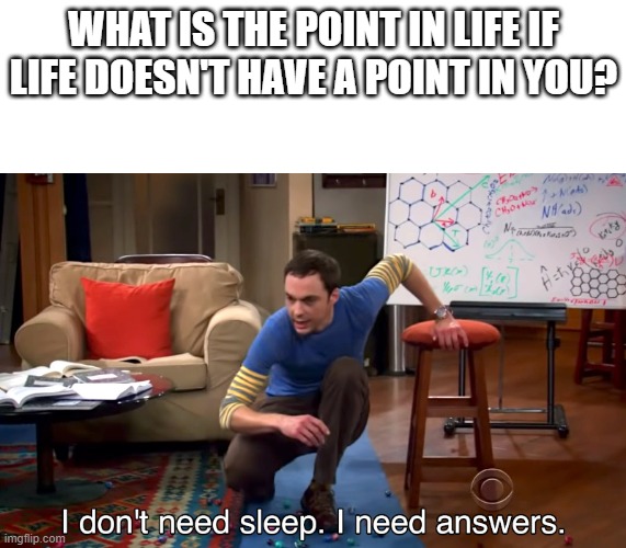 IDK NEITHER | WHAT IS THE POINT IN LIFE IF LIFE DOESN'T HAVE A POINT IN YOU? | image tagged in i don't need sleep i need answers | made w/ Imgflip meme maker