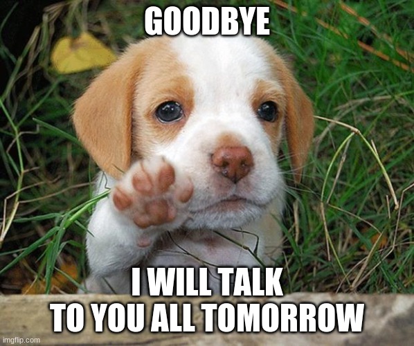 Goodbye, have a nice day | GOODBYE; I WILL TALK TO YOU ALL TOMORROW | image tagged in dog puppy bye,bye,have a nice day | made w/ Imgflip meme maker