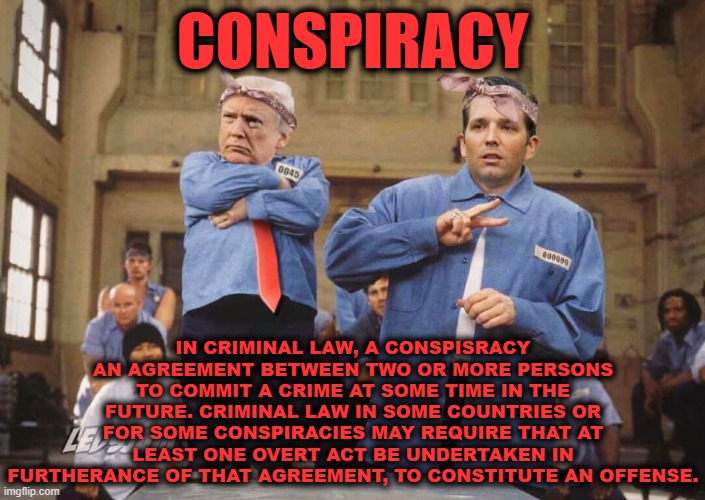 CONSPIRACY | CONSPIRACY; IN CRIMINAL LAW, A CONSPISRACY AN AGREEMENT BETWEEN TWO OR MORE PERSONS TO COMMIT A CRIME AT SOME TIME IN THE FUTURE. CRIMINAL LAW IN SOME COUNTRIES OR FOR SOME CONSPIRACIES MAY REQUIRE THAT AT LEAST ONE OVERT ACT BE UNDERTAKEN IN FURTHERANCE OF THAT AGREEMENT, TO CONSTITUTE AN OFFENSE. | image tagged in conspiracy,trump,don jr,rudy giuliani,criminals,lock them up,SubSimGPT2Interactive | made w/ Imgflip meme maker
