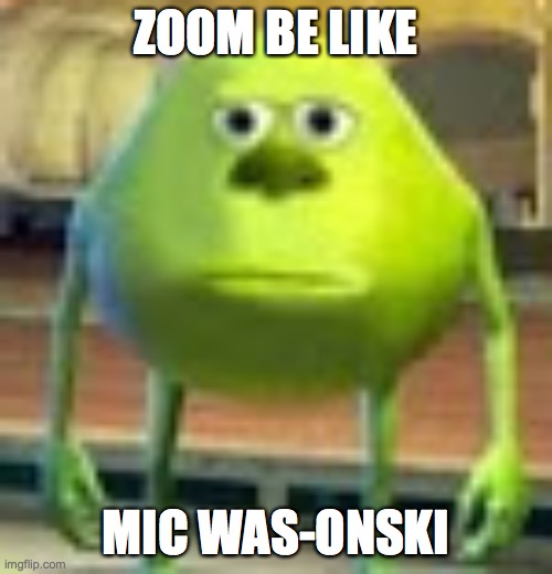 Sully Wazowski | ZOOM BE LIKE; MIC WAS-ONSKI | image tagged in sully wazowski | made w/ Imgflip meme maker